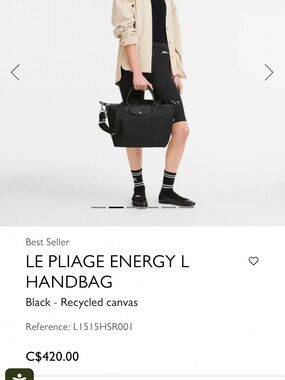 Longchamp Bag